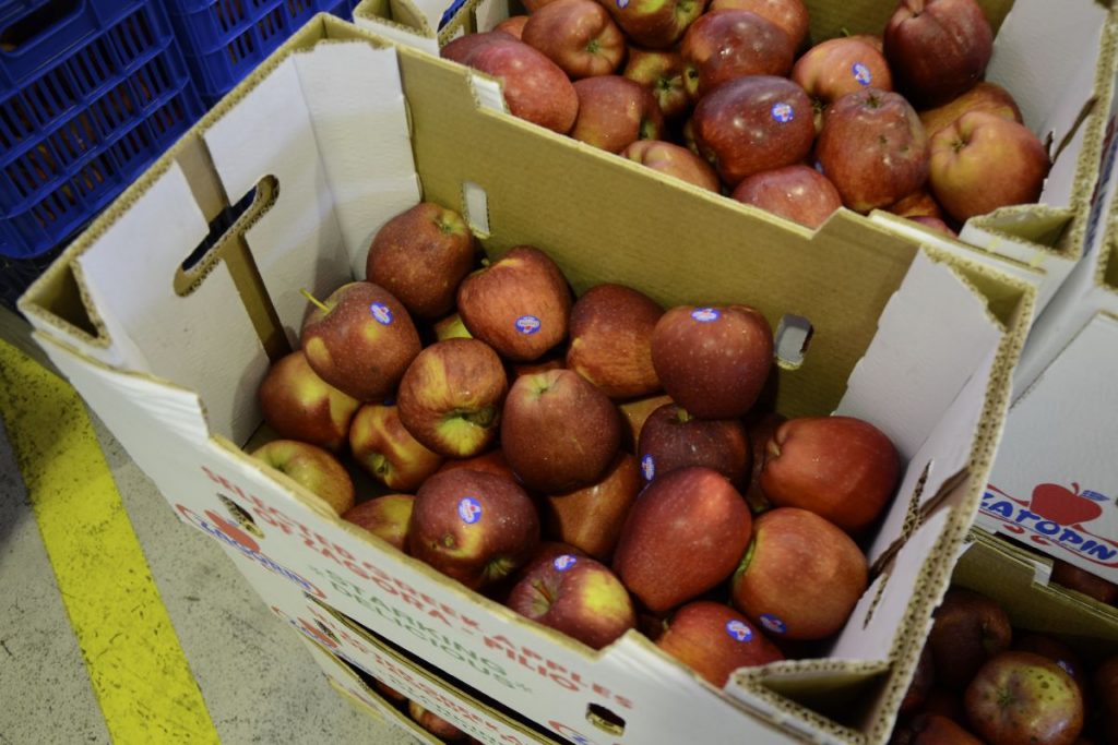 Μήλα Ζαγορίν - Αγροτικός Συνεταιρισμός Ζαγοράς Πηλίου