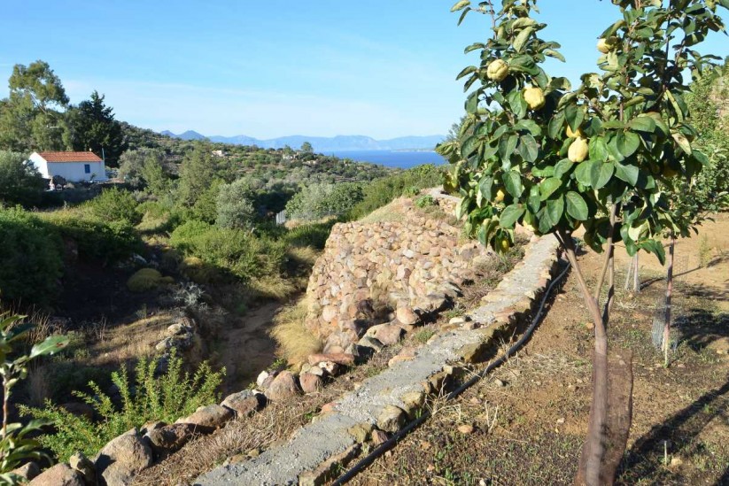 Property of Eleni Kypraiou in Aegina