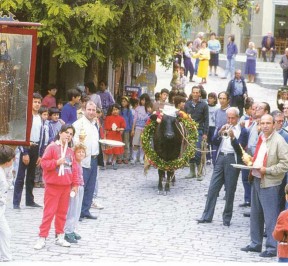 The festival of Agios Charalambos in Agia Paraskevi, procession