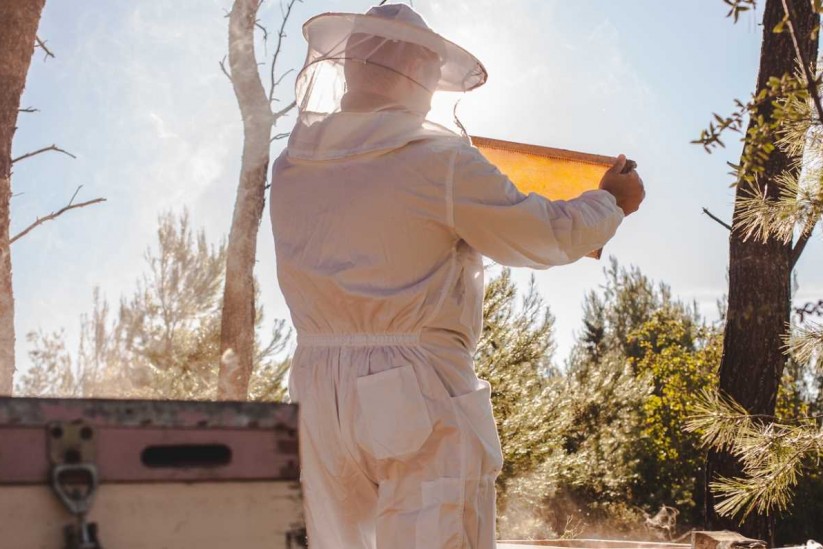 Honey Attica - Attica Beekeeping Company