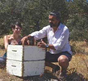 Honig aus Paktia (Honig aus Paros) - Griechischer Gastronomieführer