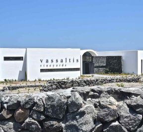 Azienda vinicola Vassaltis - Santorini - Guida alla gastronomia greca