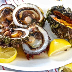 Φούσκα - Κάλυμνος - Greek Gastronomy Guide