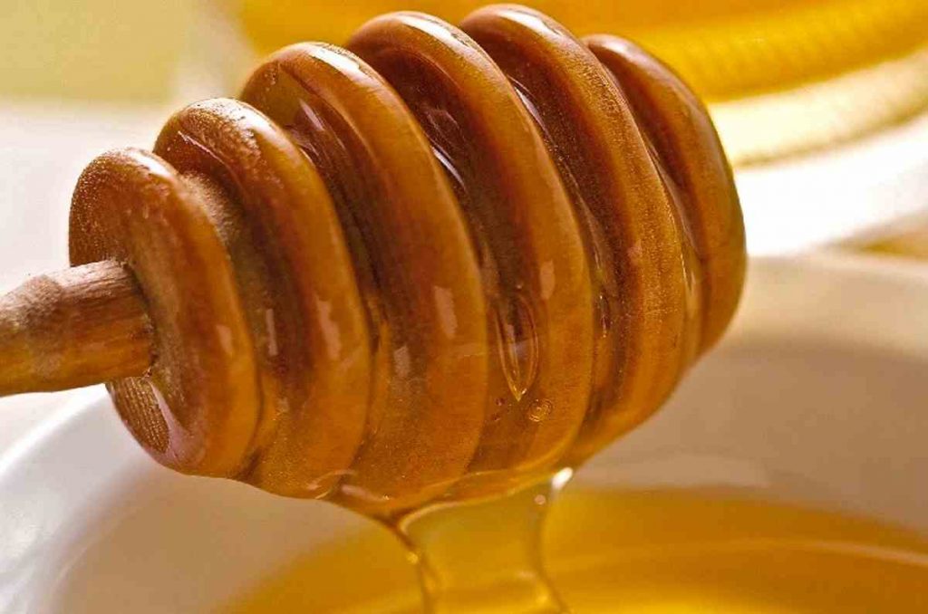 Honey and the bee - The contribution of the bee to the ecosystem - Greek Gastronomy Guide