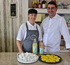 Zitronenwald - Vlachos Süßwarenwerkstatt - Galatas Trizinias - Griechischer Gastronomieführer