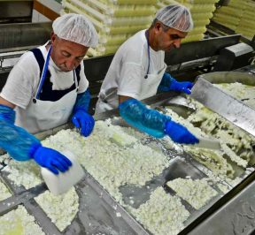 Agricultural Dairy Cooperative of Kalavrita - Greek Gastronomy Guide