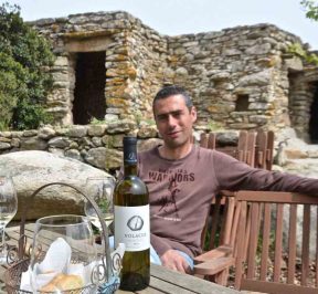 Volacus Wine - Falatados, Tinos - Greek Gastronomy Guide