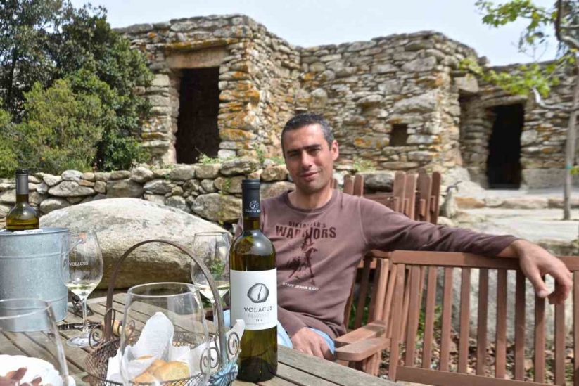 Volacus Wine - Φαλατάδος, Τήνος - Greek Gastronomy Guide