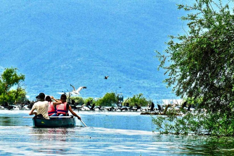 Sailing on the lake by canoe - Activities on Lake Kerkini - Greek Gastronomy Guide