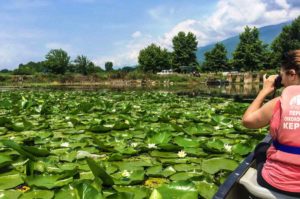 Πλέοντας στη λίμνη με κανό - Δραστηριότητες στη λίμνη Κερκίνη - Greek Gastronomy Guide