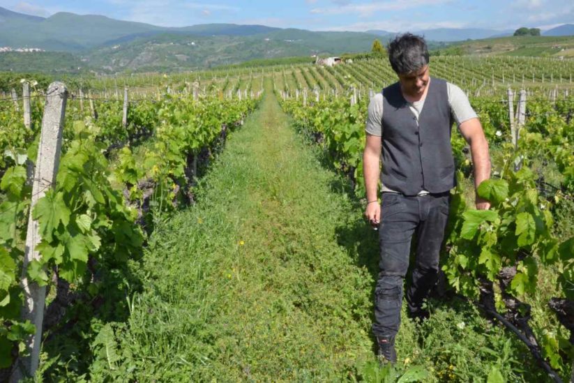 O Γιώργος Διαμαντάκος ανήκει στην νέα γενιά των οινοποιών της Νάουσας που έδωσαν μια νέα ώθηση στα κρασιά της Νάουσας