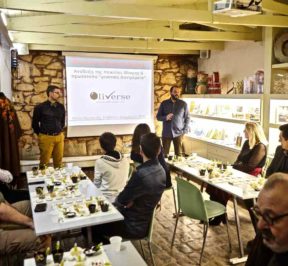 Oliverse - Gastronomy of Olive Oil - Kalamata - Greek Gastronomy Guide
