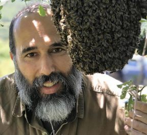 Skiathos Bienenfarm Honig - Kostas Mandalaras - Griechischer Gastronomieführer